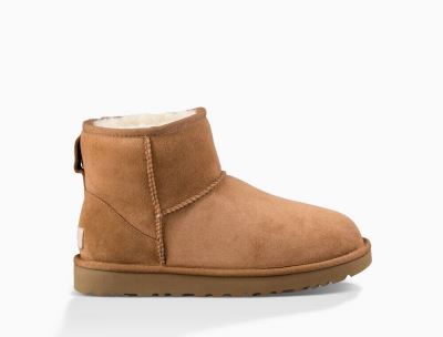 UGG Classic Mini II Classic Boots for Womens - Chestnut/Brown India